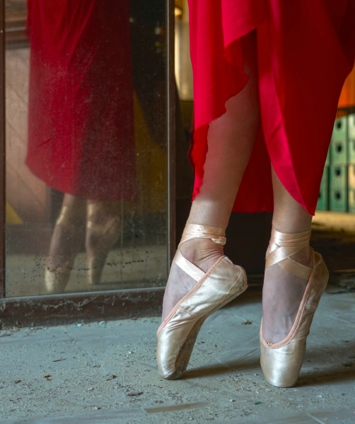 047 - Fotoclub Merchtem - Bettina Helewaut - Zwaan, zonder meer. Ballet rouge